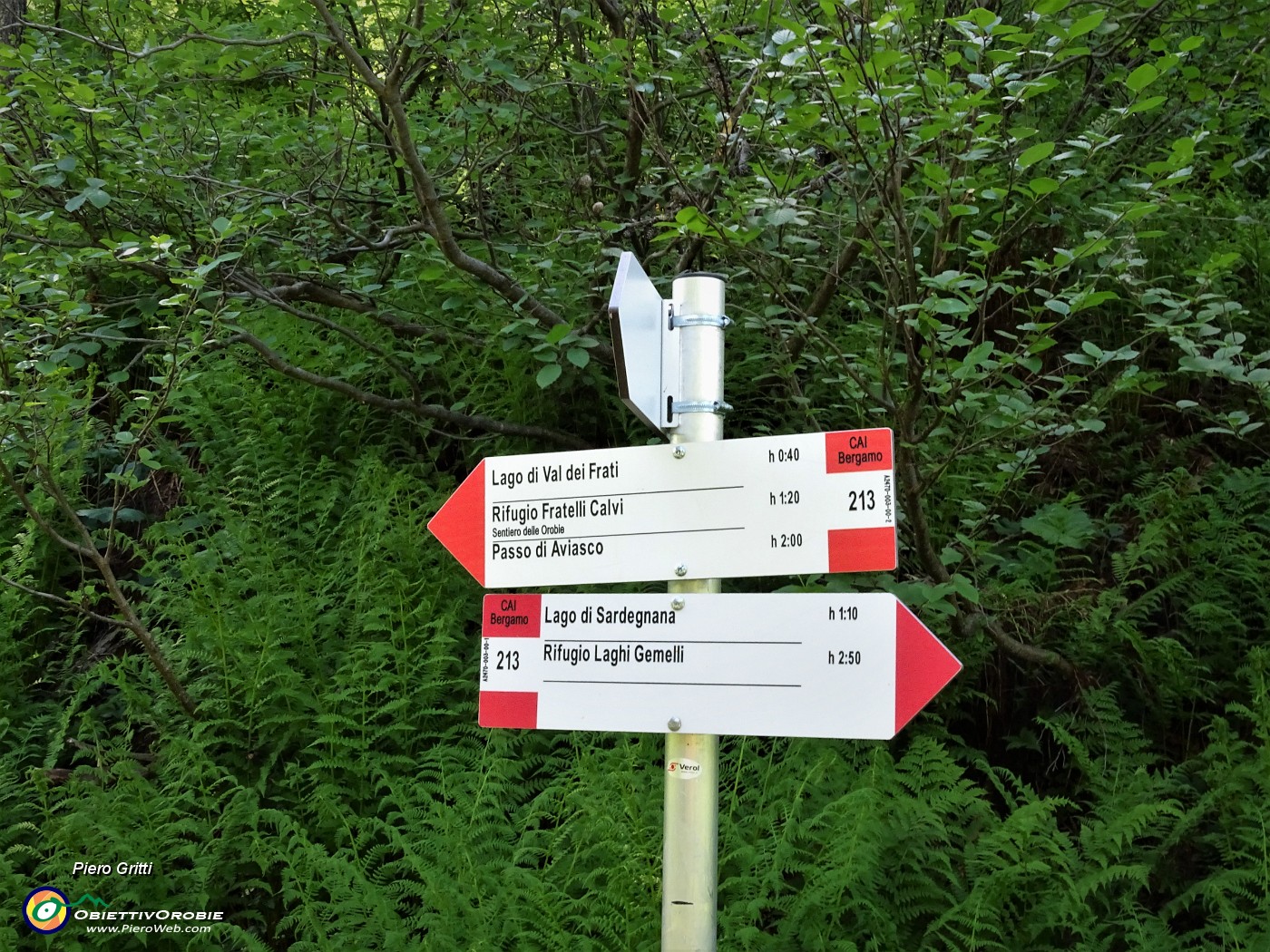 16 Incrocio del sent. 247 col 213 (Gemelli -Calvi) noi proseguiamo a dx in direzione Laghi Gemelli per breve tratto.JPG